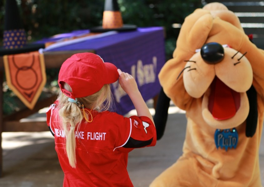 Dreams Take Flight Disney Charity