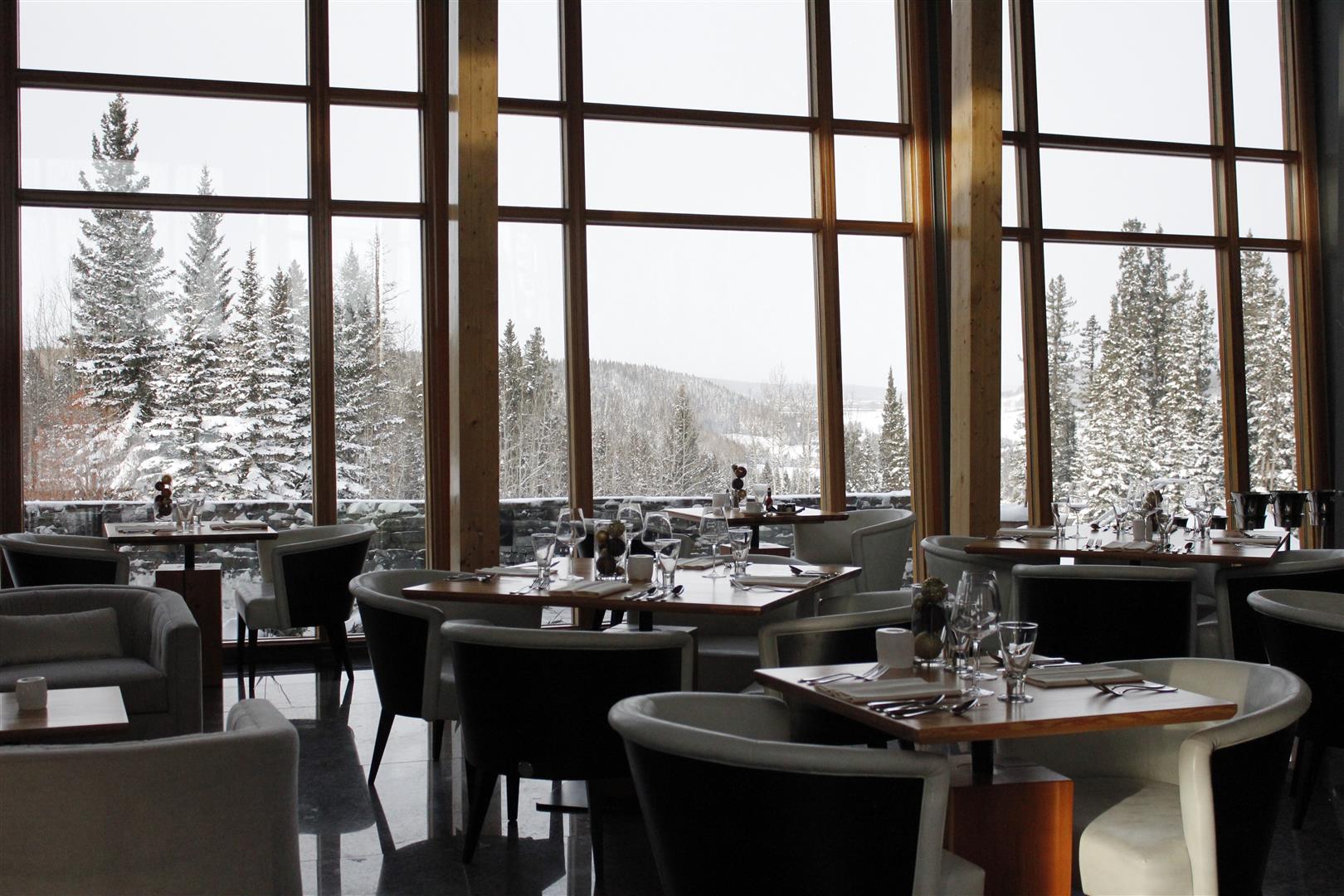 Azuridge Pridis Mr. FAB Calgary AB (5) (Large)