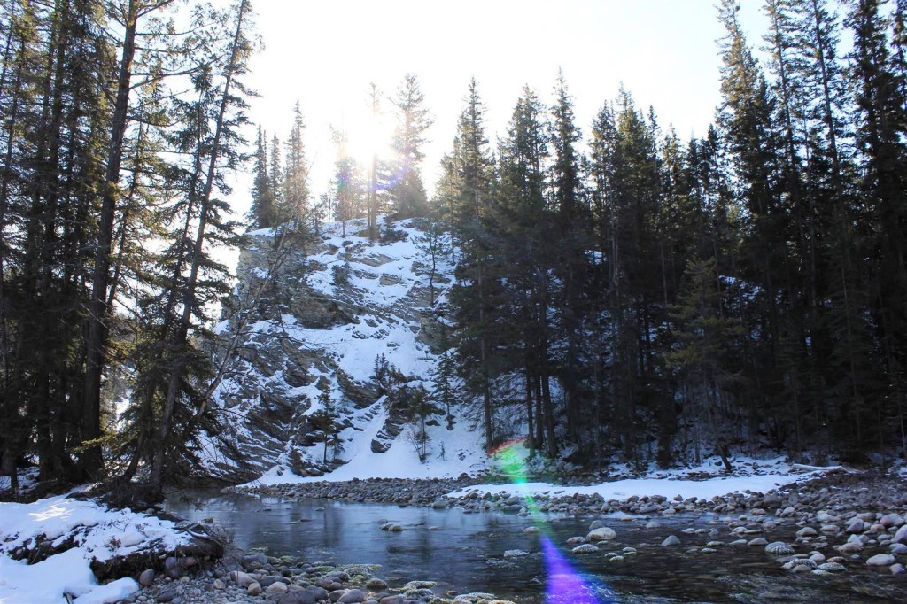 Jasper AB JasperPride (3)