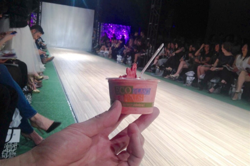 PARK show Fiasco Gelato (Large)