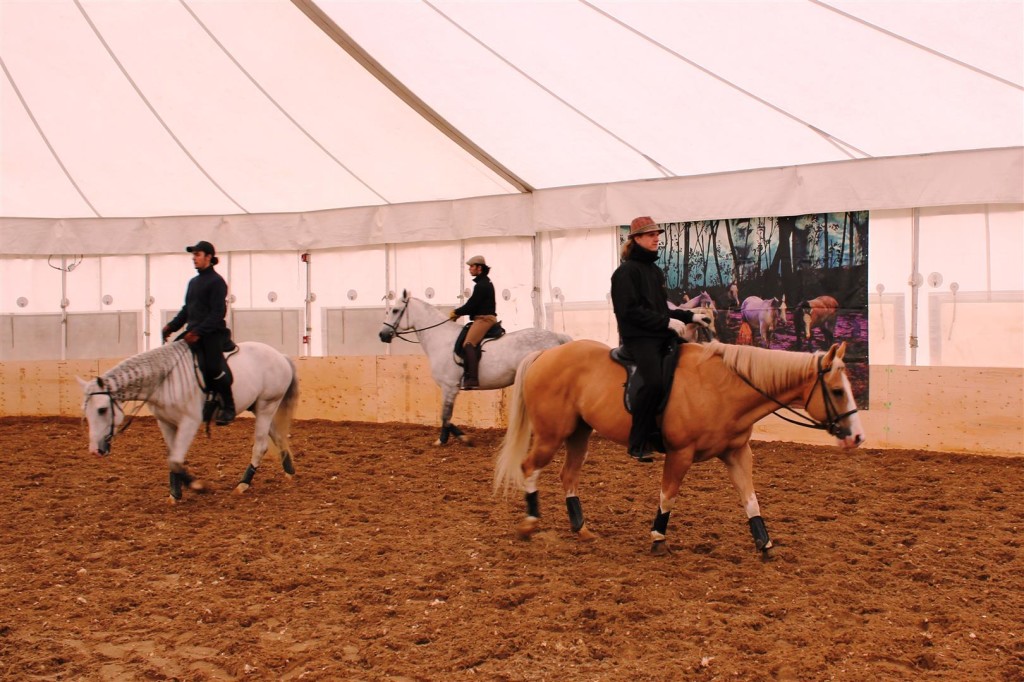 Odyesso Cirque Cavalia Calgary FAB (1)