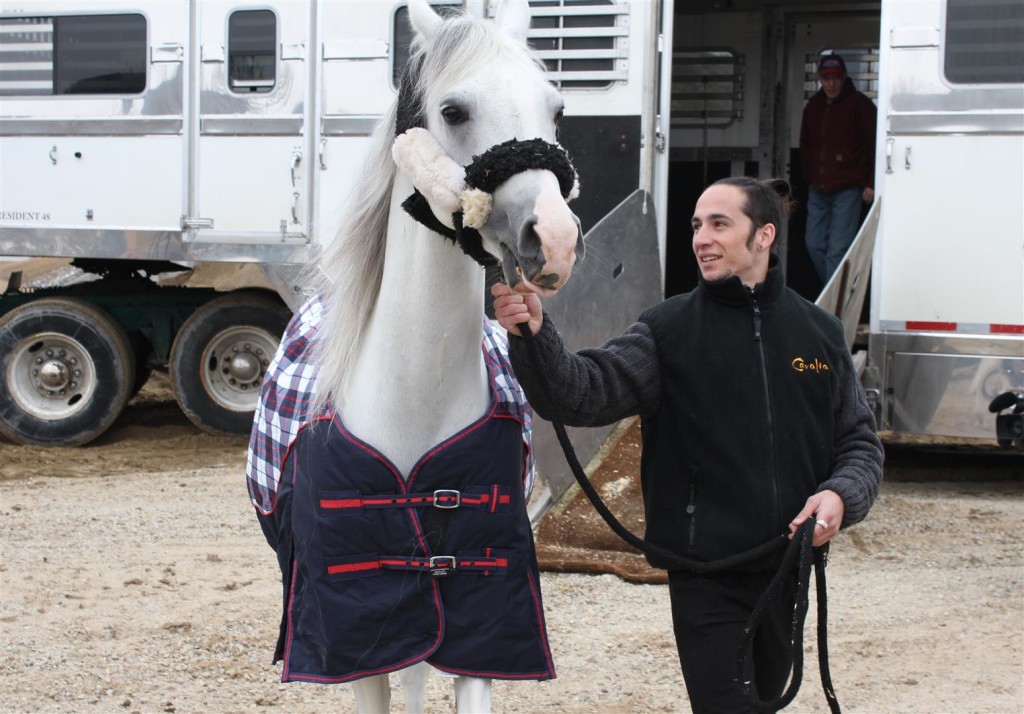 Odyesso Cirque Cavalia Calgary FAB (7)