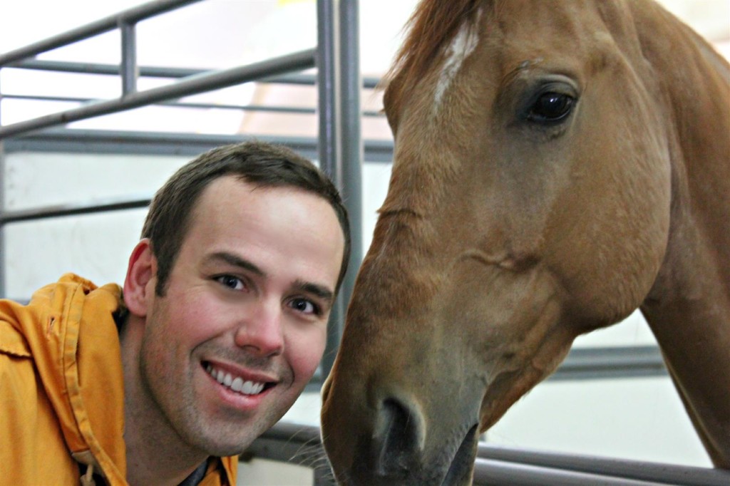 Odyesso MrFab Calgary (Large)