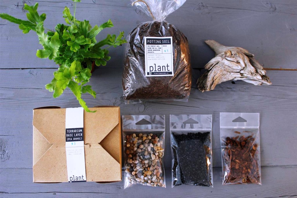 Plant terrarium Calgary MrFab (5)