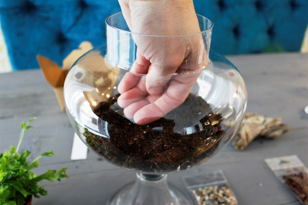 Plant terrarium Calgary MrFab (6)