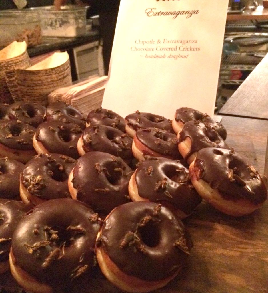 Chocolate_Cricket_Donuts
