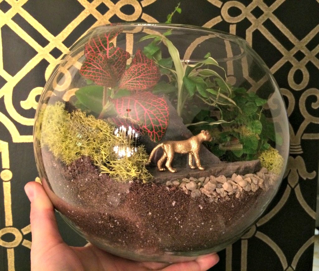DIY Terrarium